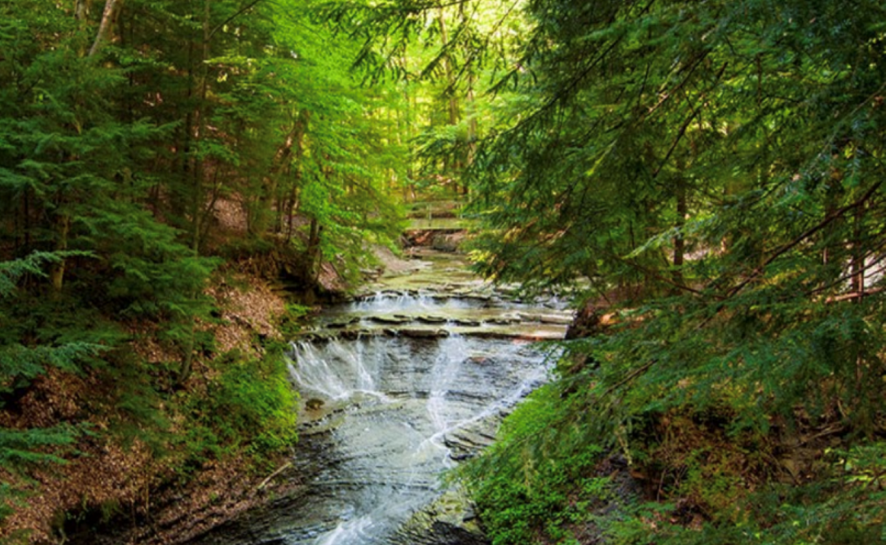 18 Reserves Forest Carbon Project