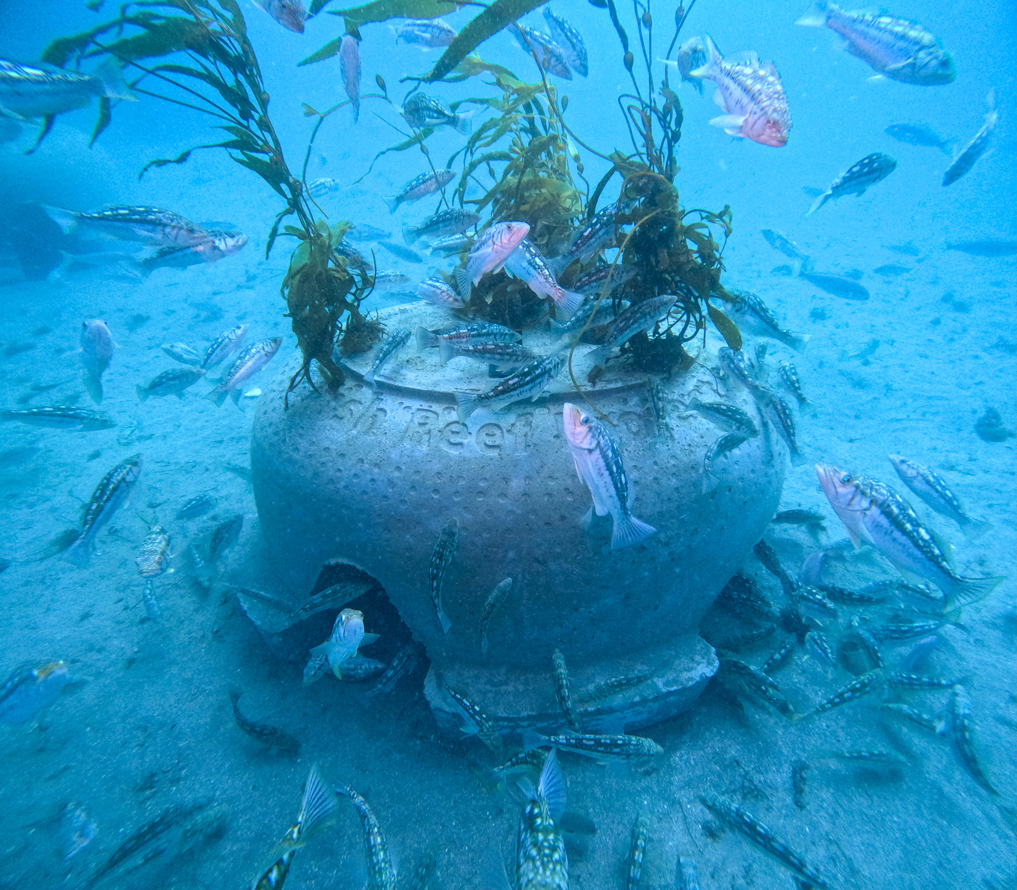 Sea Cave True Blue Carbon, Baja California, Mexico - Image 1