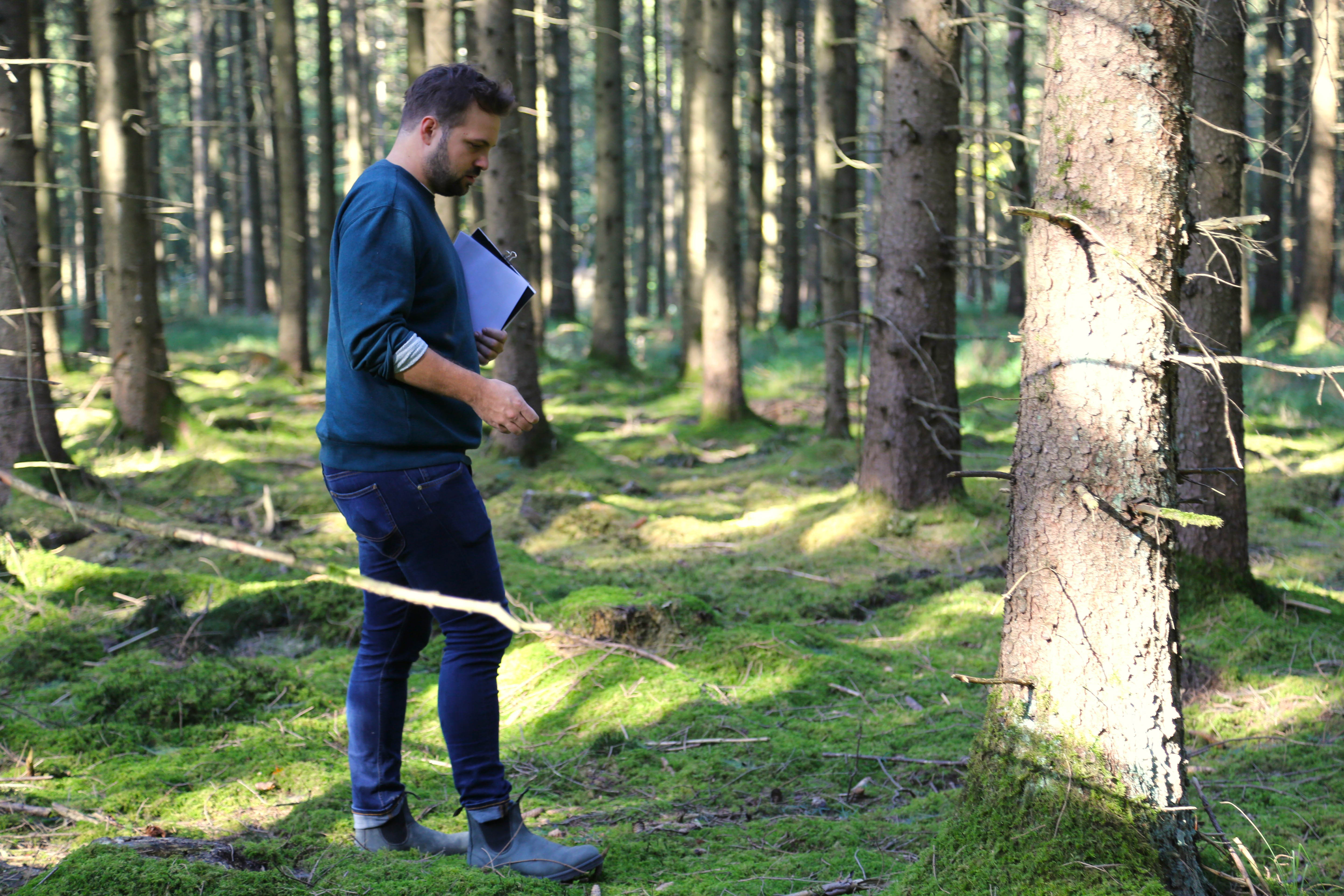 Pina Earth: Creating a climate-resilient forest in Germany, Bavaria & Baden-Wurttemberg - Lindorf - Image 2