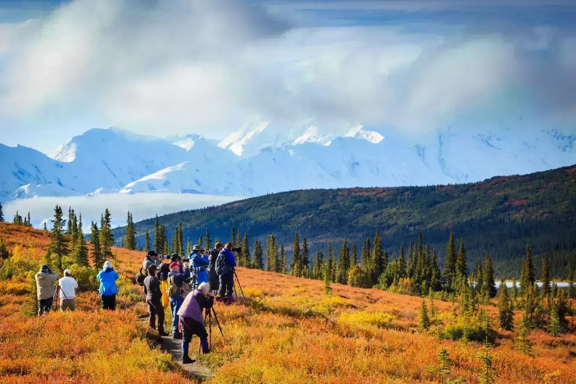 Doyon Native Community Forest Project