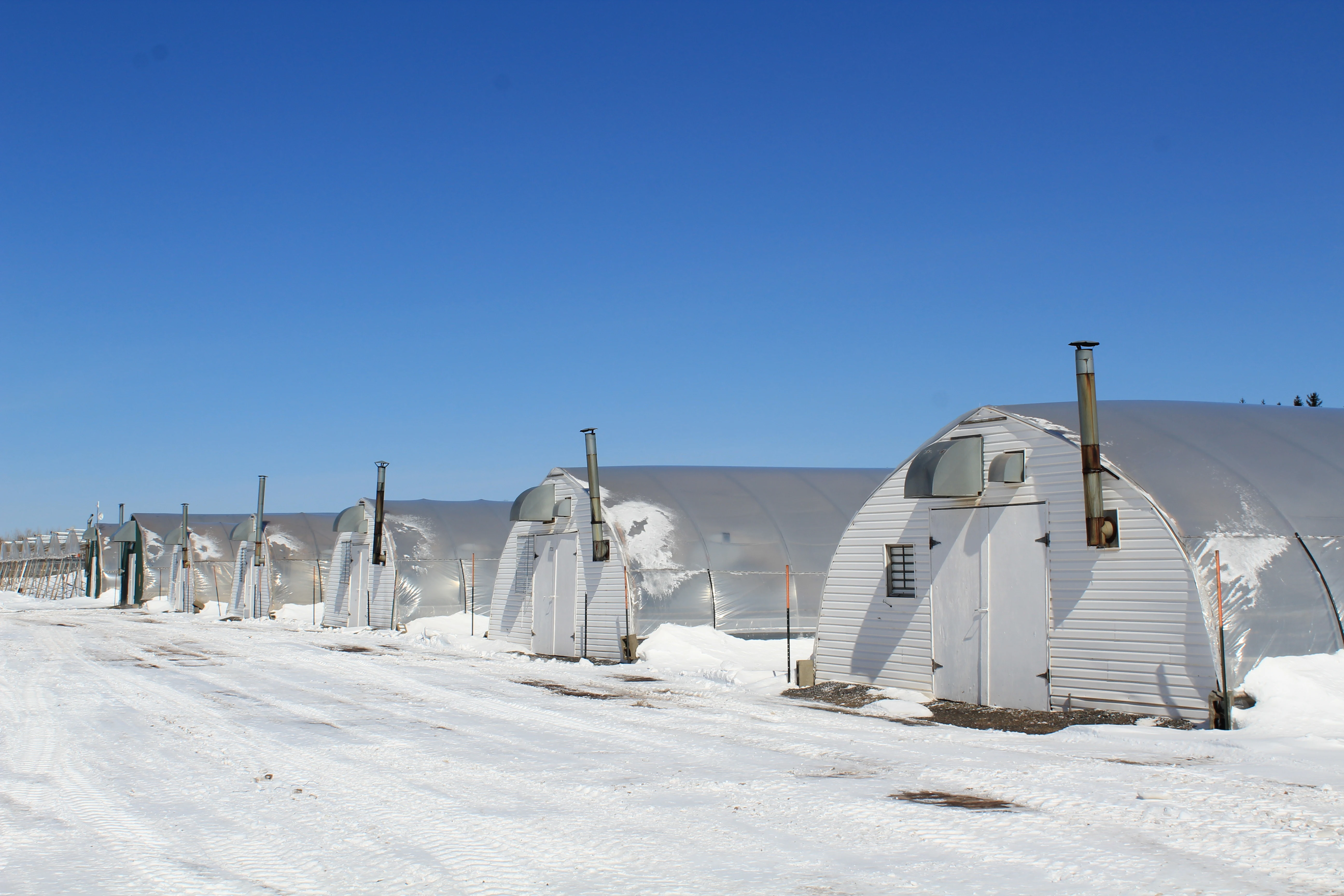 Sustainable Community - Image 11