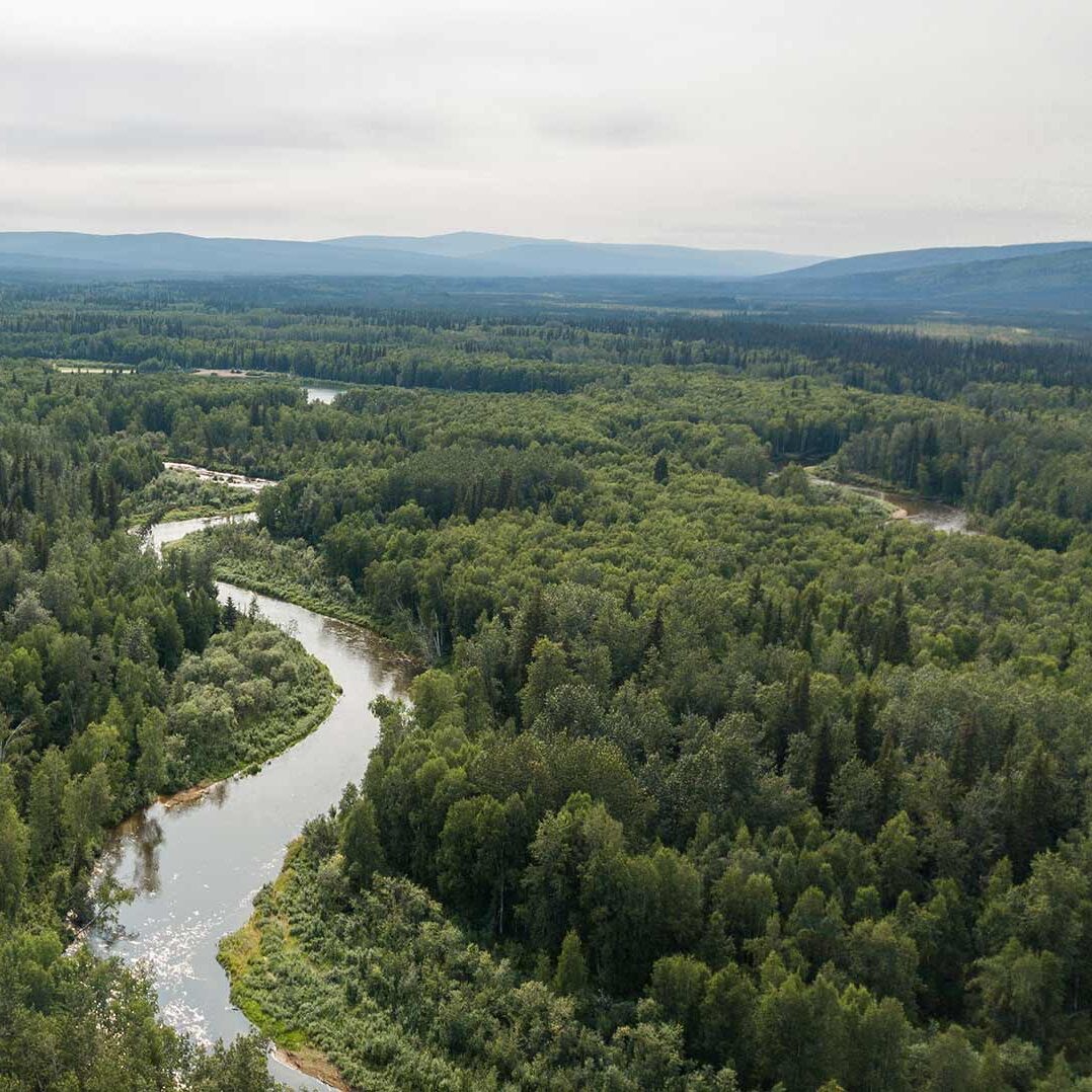Doyon Native Community Forest Project - Image 1