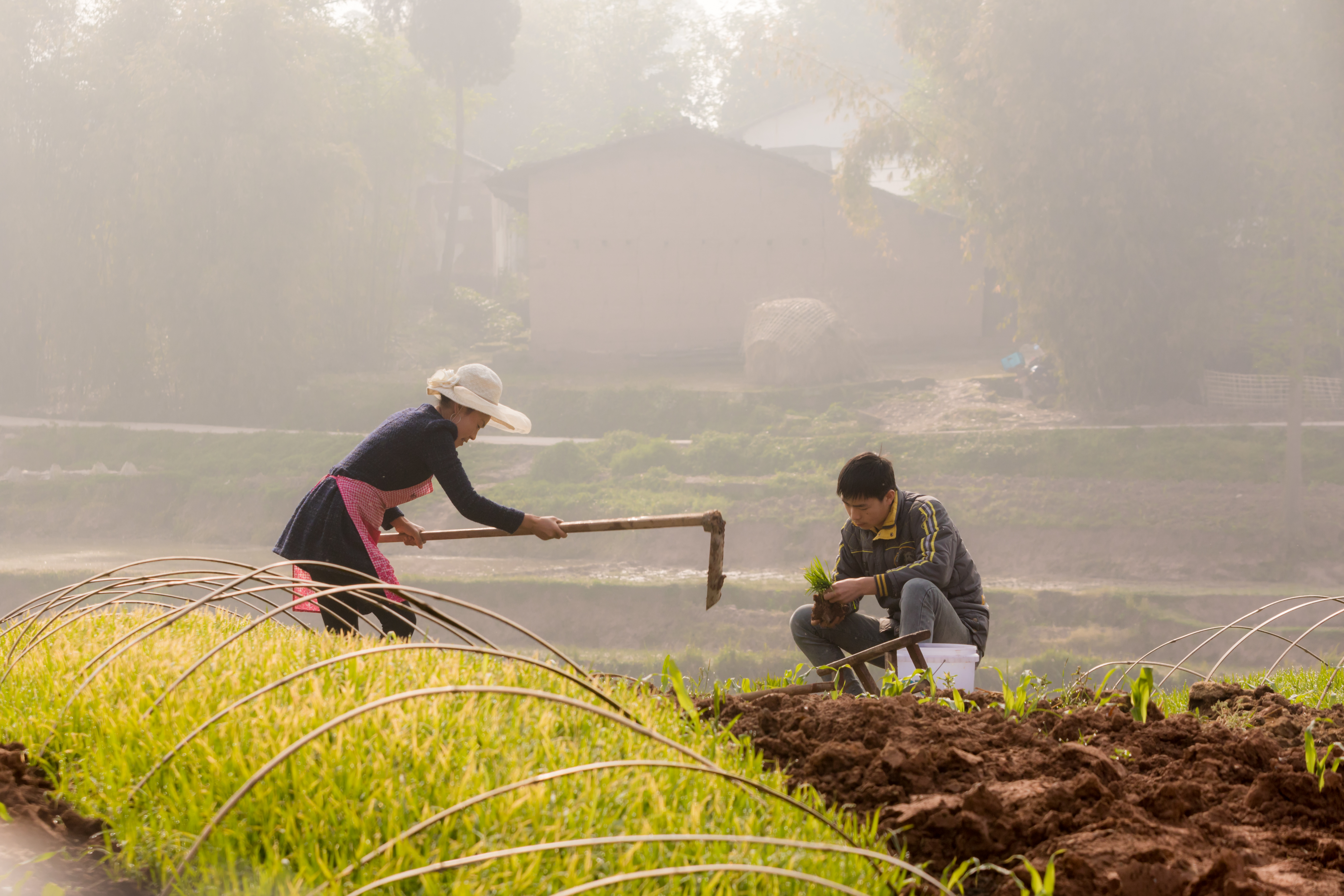 Sichuan Rural Poor-Household Biogas Development Programme - Image 2