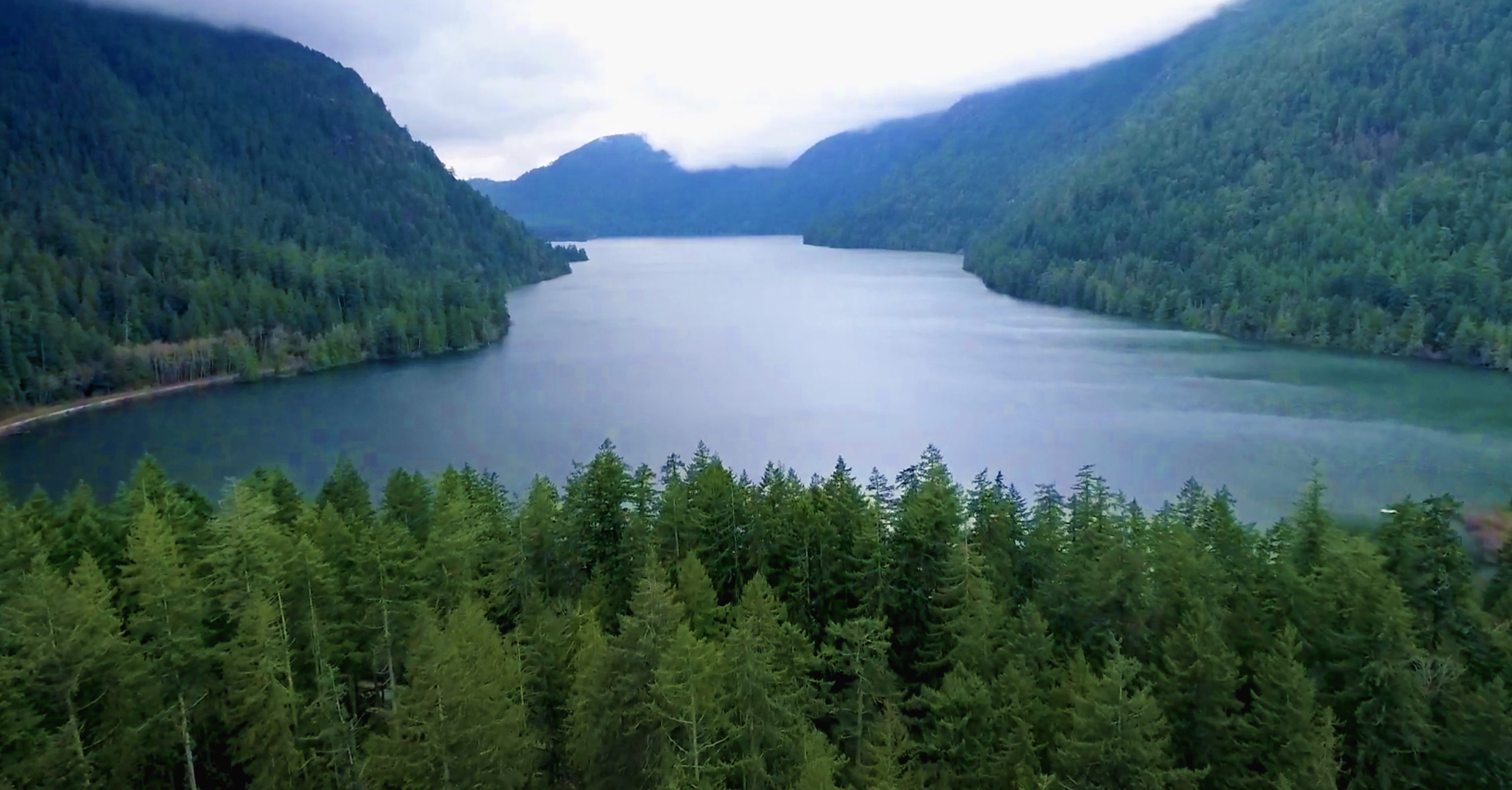 BIGCOAST FOREST CLIMATE INITIATIVE - Image 30