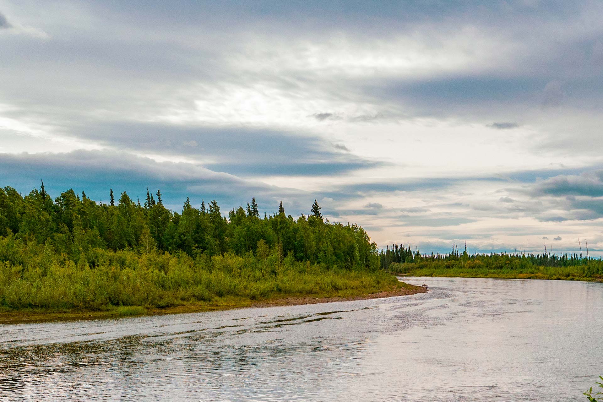 Doyon Native Community Forest Project - Image 3