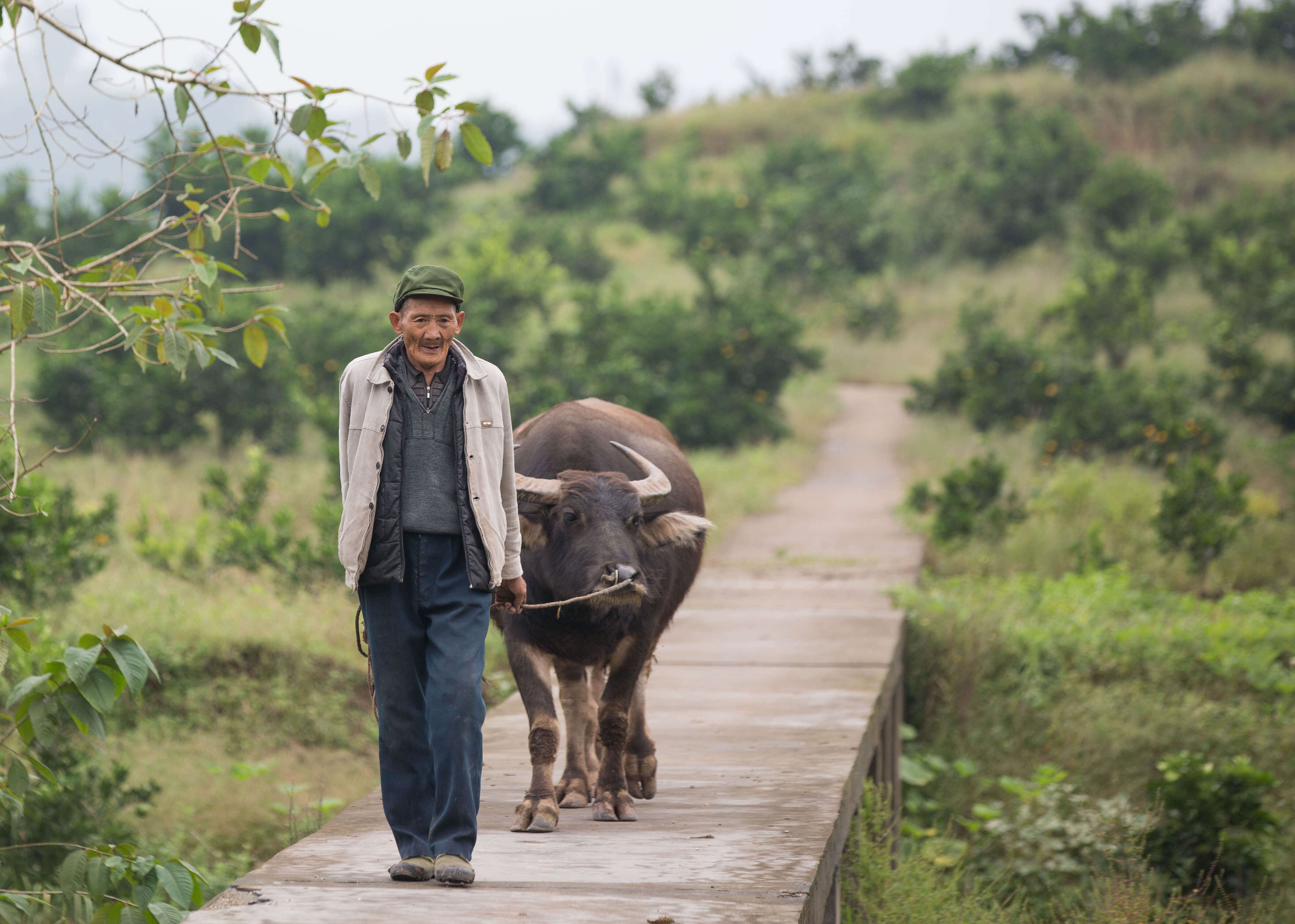 Sichuan Rural Poor-Household Biogas Development Programme - Image 1