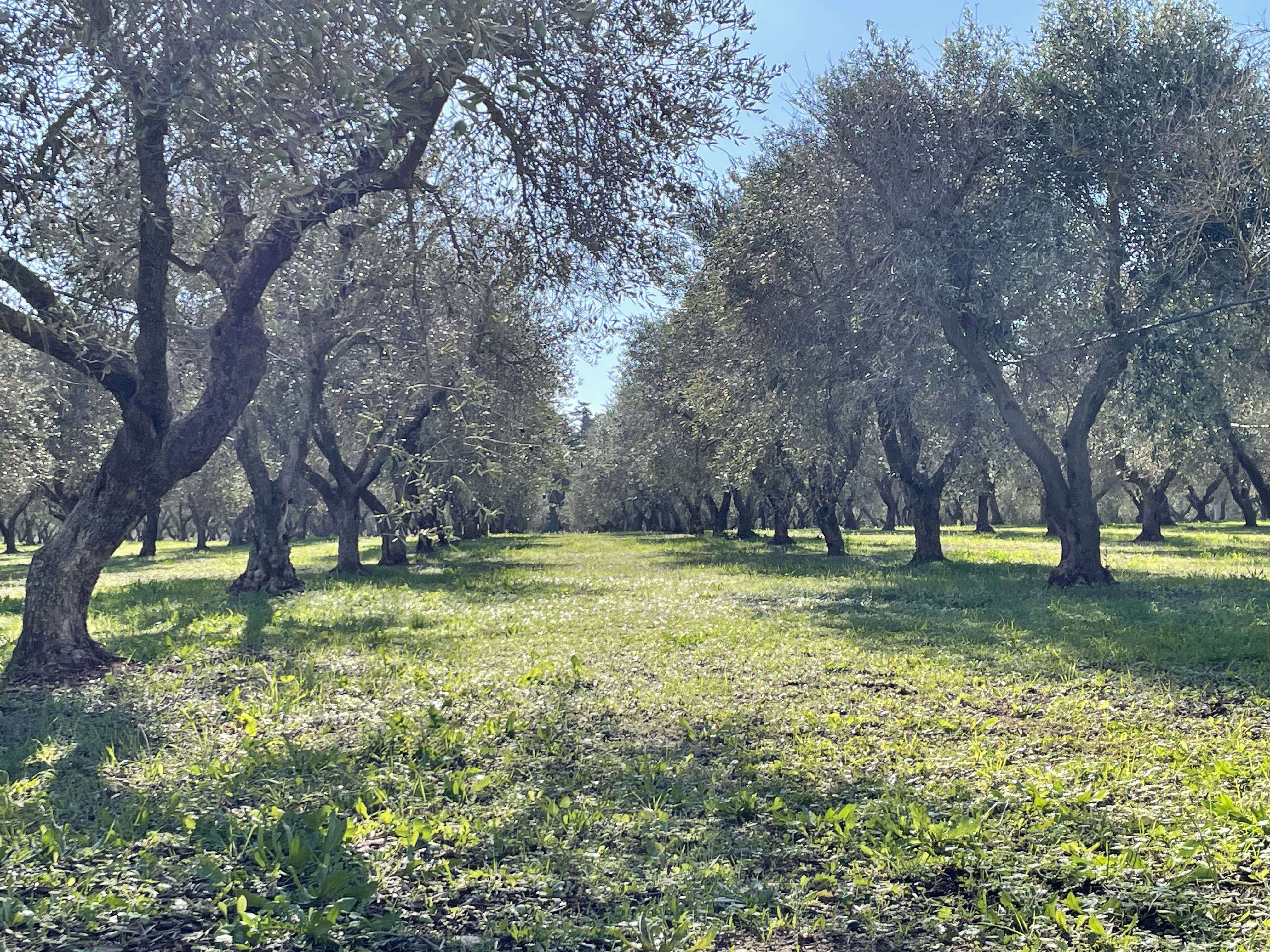 AgroEcology_Italy - Image 2