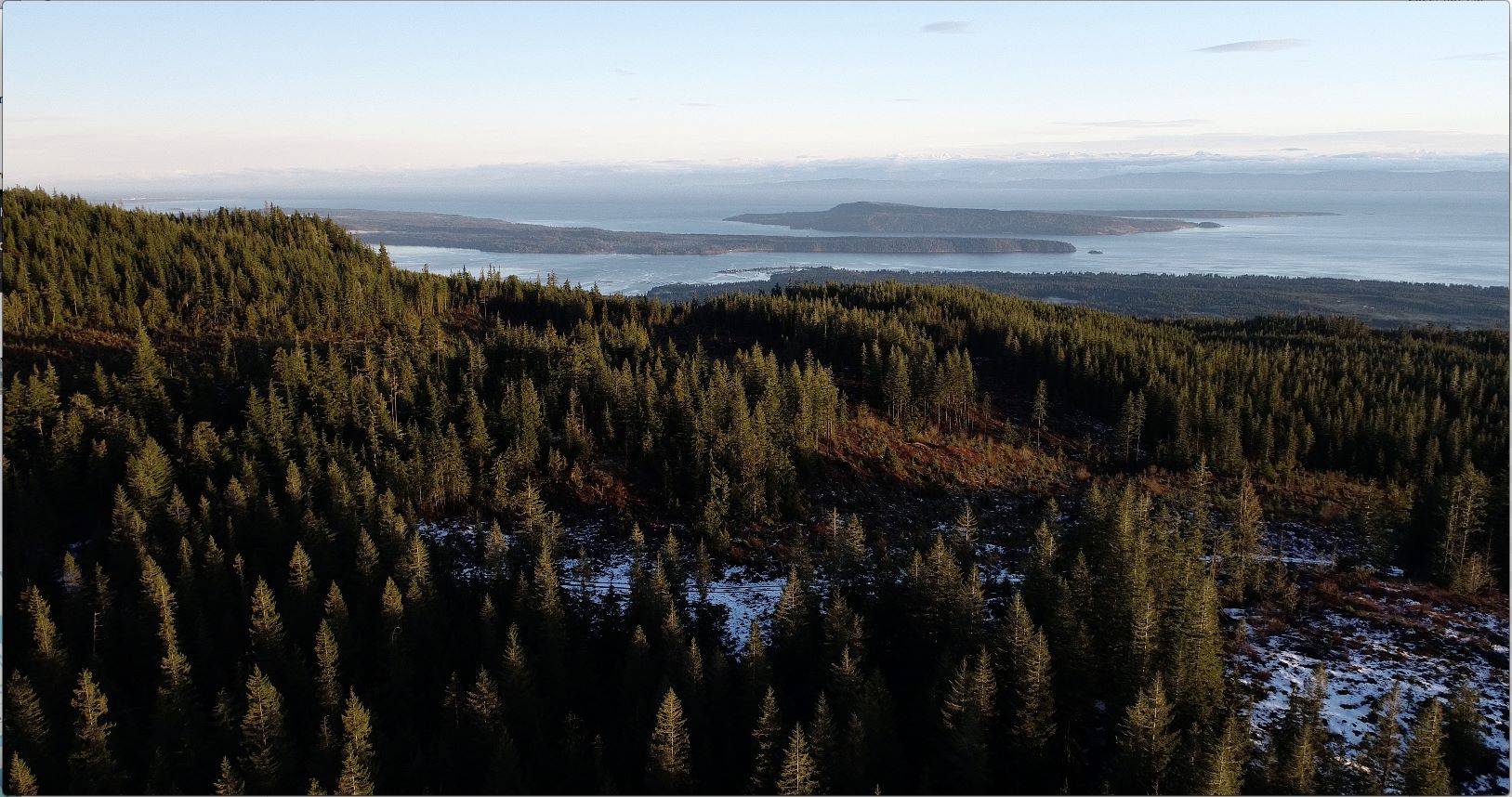 BIGCOAST FOREST CLIMATE INITIATIVE - Image 28