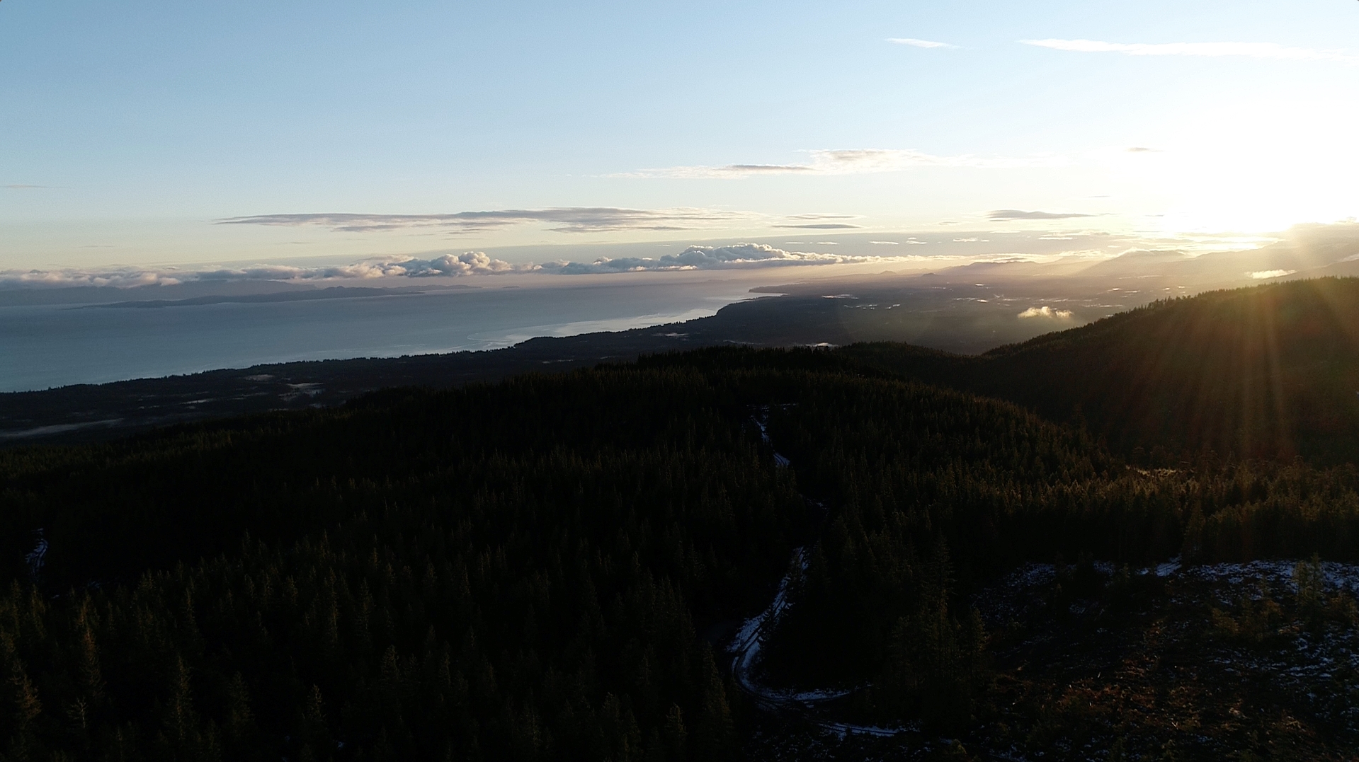 BIGCOAST FOREST CLIMATE INITIATIVE - Image 43