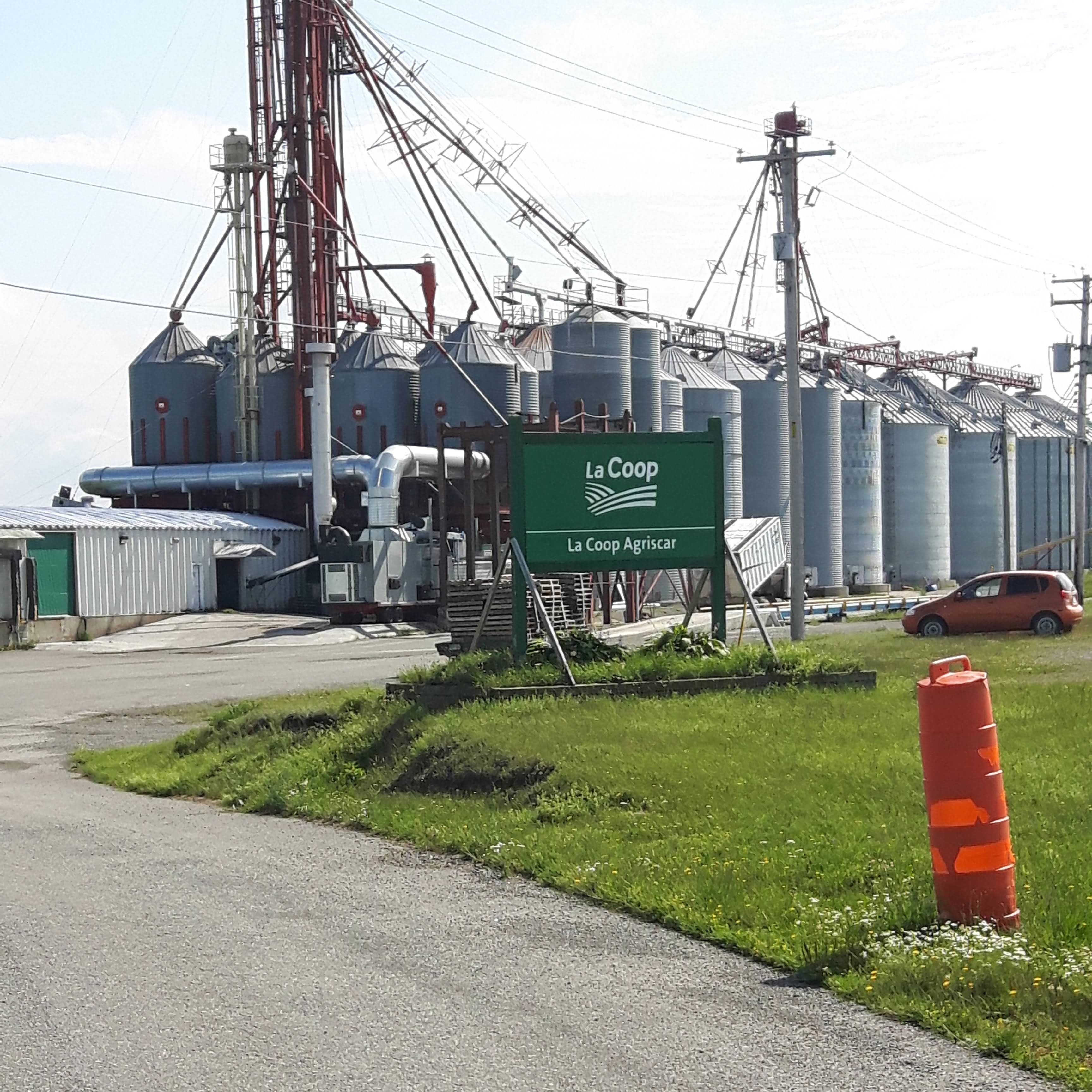 Sustainable Community - Image 5