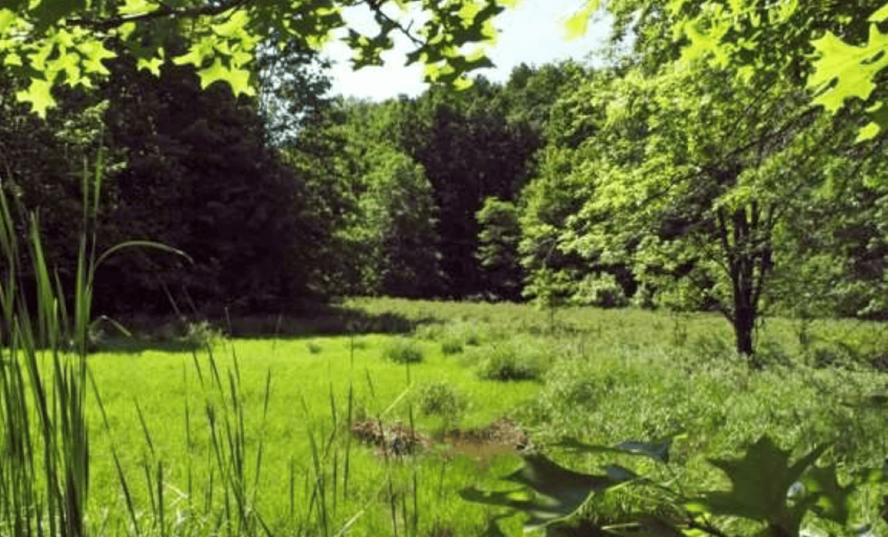 18 Reserves Forest Carbon Project - Image 2