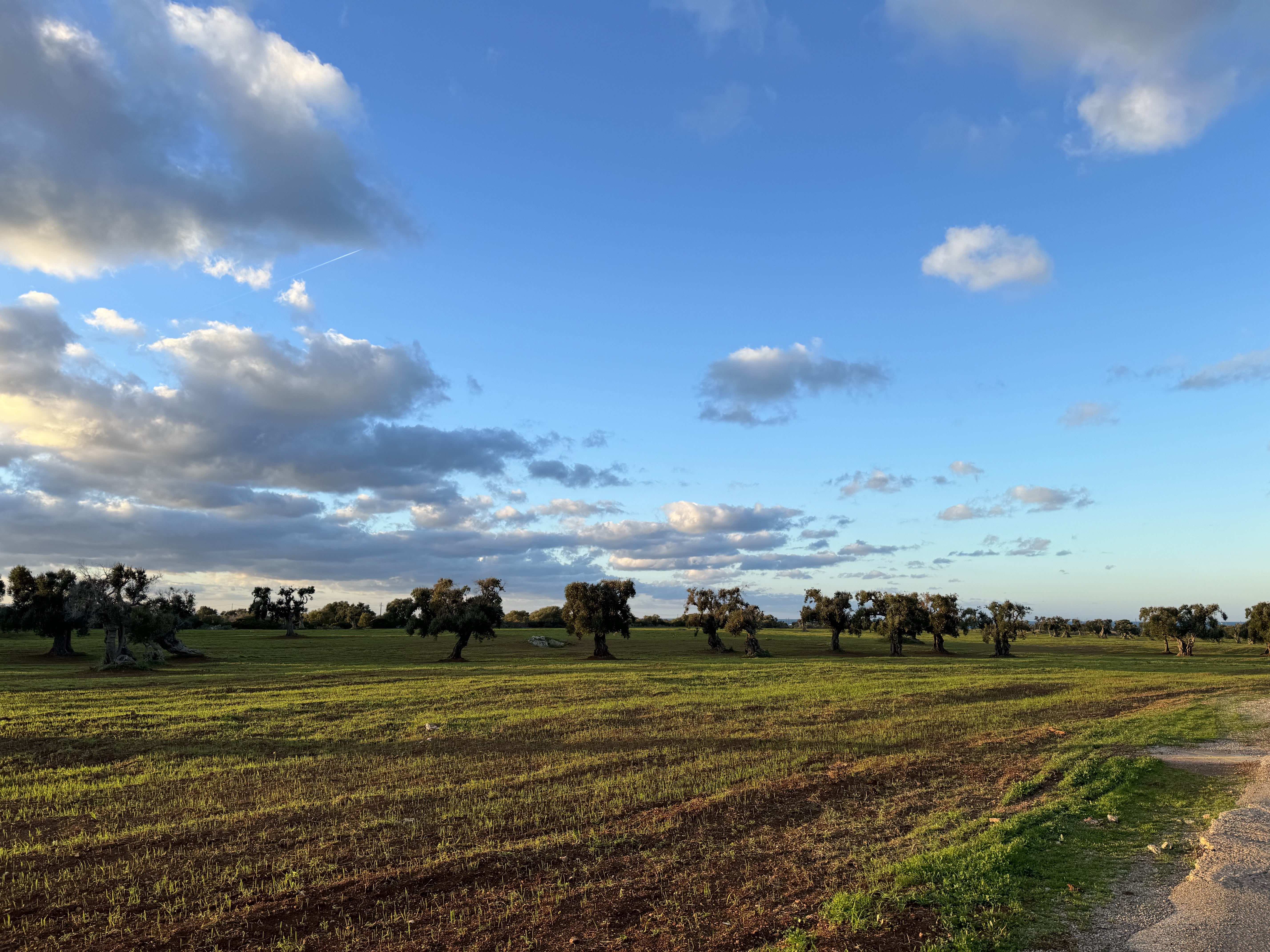 AgroEcology_Italy - Image 1
