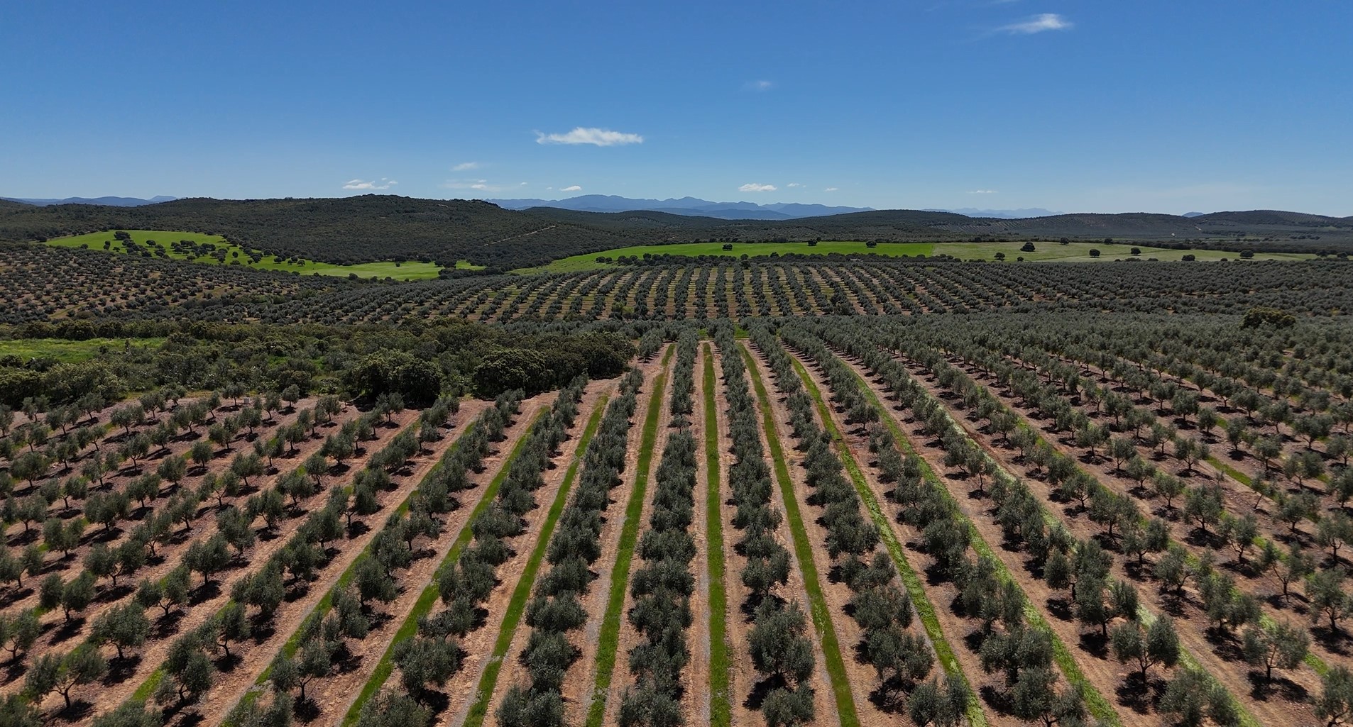 Cultiva Carbono - El Mesto - Image 1